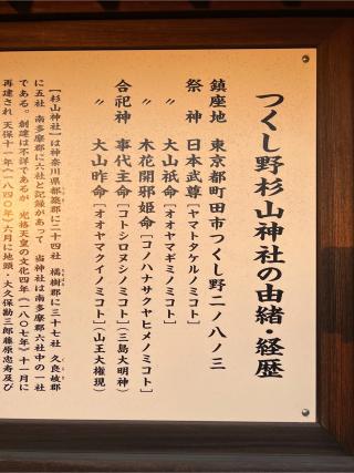 つくし野杉山神社の参拝記録(⛩️🐉🐢まめ🐢🐉⛩️さん)