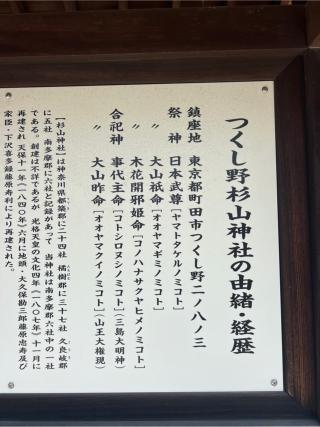 つくし野杉山神社の参拝記録(⛩️🐍🐢まめ🐢🐍⛩️さん)