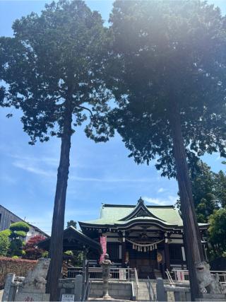 つくし野杉山神社の参拝記録(⛩️まのさん)