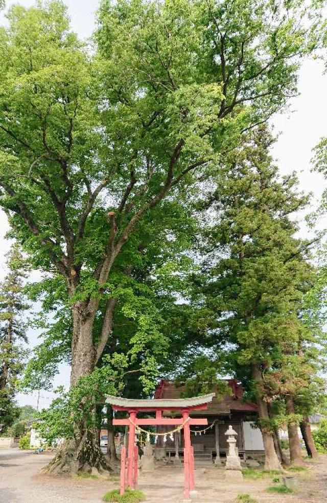 稲荷神社の参拝記録4