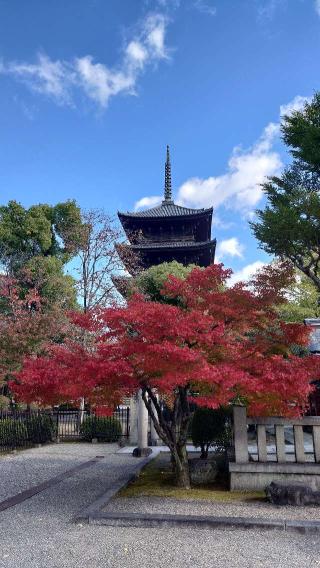 東寺　鎮守八幡宮の参拝記録(うさこさん)