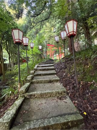 湯涌稲荷神社の参拝記録(コットンさん)