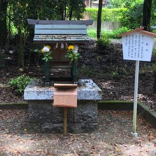 稲荷神社の参拝記録(ワヲンさん)