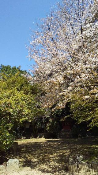 歯定神社の参拝記録(ひろ神社仏閣さん)