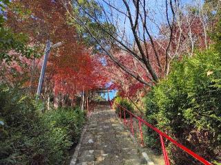 山宮神社の参拝記録(ruinさん)