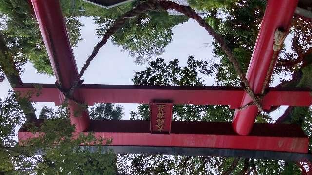 大藤神社の参拝記録(メグさん)