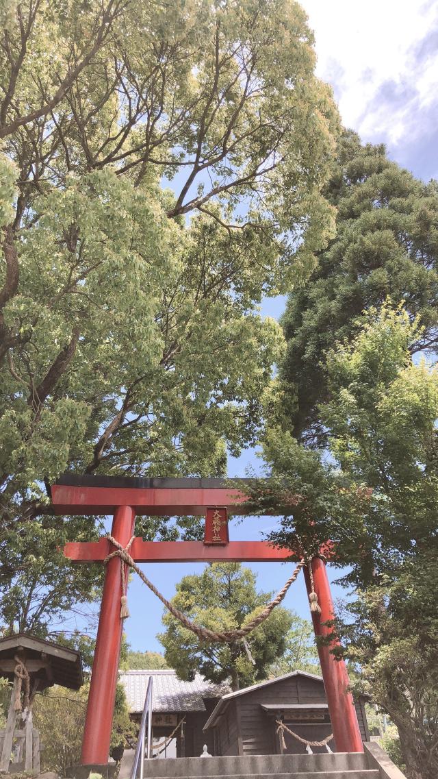 大藤神社の参拝記録( 14th moonさん)