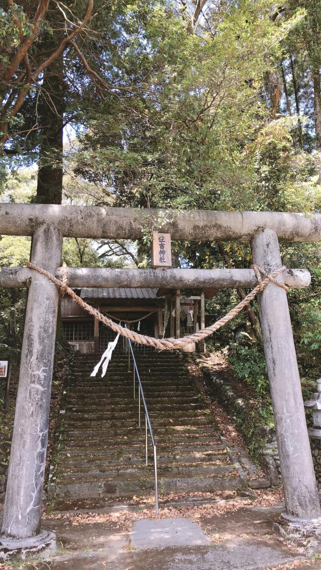住吉神社の参拝記録( 14th moonさん)