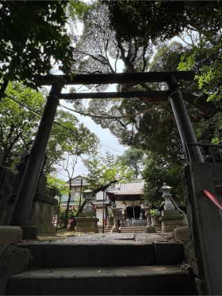 天祖神社（八景天祖神社）の参拝記録(せーこさん)