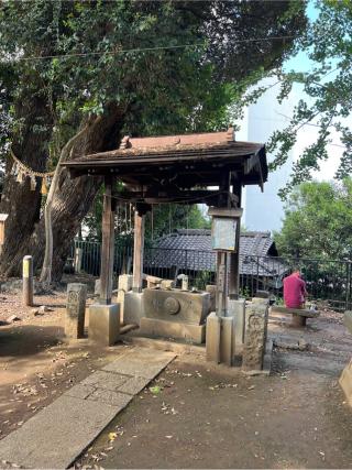 天祖神社(八景天祖神社)の参拝記録(⛩️🐍🐢まめ🐢🐍⛩️さん)