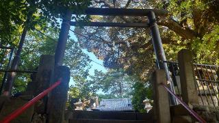 天祖神社(八景天祖神社)の参拝記録(まっちゃんさん)