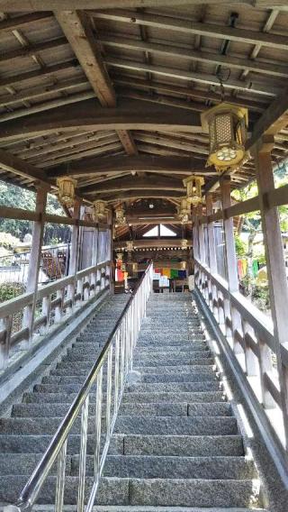 阿弥陀寺の参拝記録(あわらーさん)