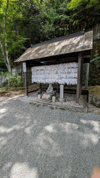 阿弥陀寺の参拝記録(たこやきさん)