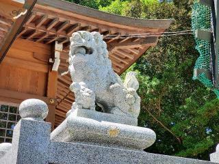 平野神社の参拝記録(飛成さん)