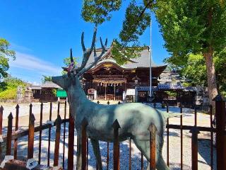 春日神社(田川市)の参拝記録(風祭すぅさん)