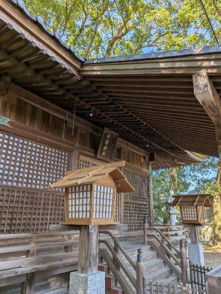中津神社の参拝記録(こまいぬおさん)