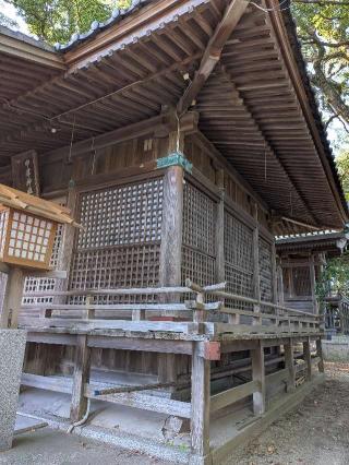 中津神社の参拝記録(こまいぬおさん)