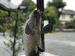 荒生田神社の参拝記録(筑紫狼さん)