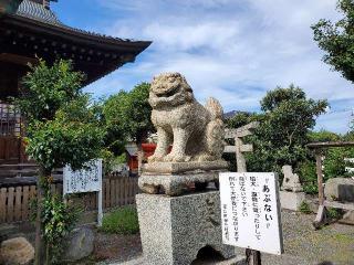 荒生田神社の参拝記録(飛成さん)