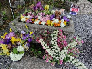 涌釜神社の参拝記録(優雅さん)