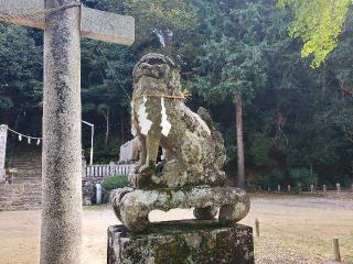 岩部八幡神社の参拝記録(飛成さん)