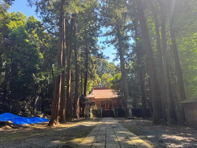 虎柏神社の参拝記録1