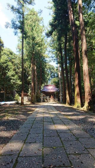 虎柏神社の参拝記録(kenさん)