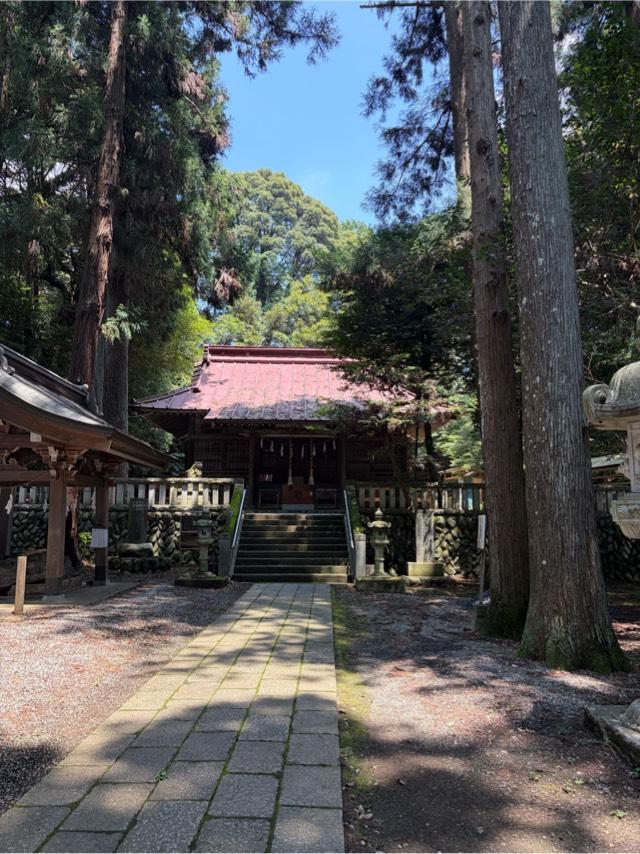 虎柏神社の参拝記録1