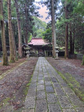 虎柏神社の参拝記録(ショー・コネリーさん)