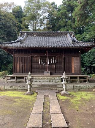 八幡神社（蓮田市上平野）の参拝記録(ぶーさん)