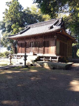 八幡神社（蓮田市上平野）の参拝記録(ブッチャーさん)
