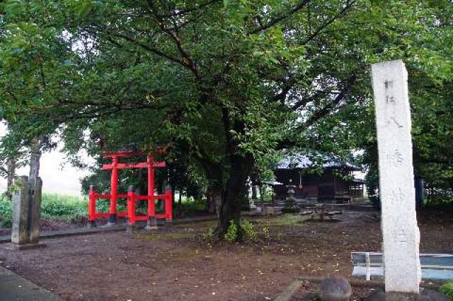 八幡神社（白岡市千駄野）の参拝記録6