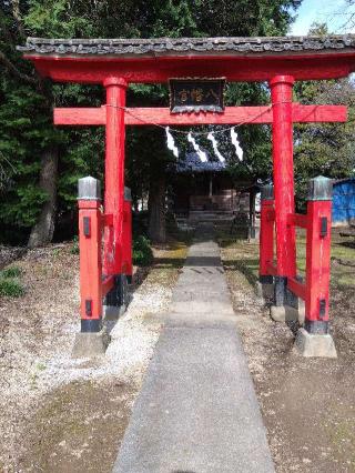 八幡神社（白岡市千駄野）の参拝記録(ブッチャーさん)