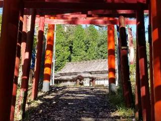 曽野稲荷神社の参拝記録(銀玉鉄砲さん)