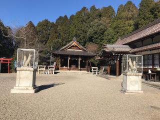 曽野稲荷神社の参拝記録(まついちさん)