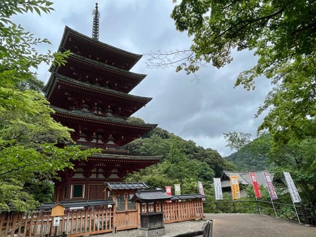 長谷寺　五重塔の参拝記録(忍さん)