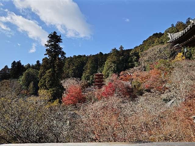 長谷寺 五重塔の参拝記録10