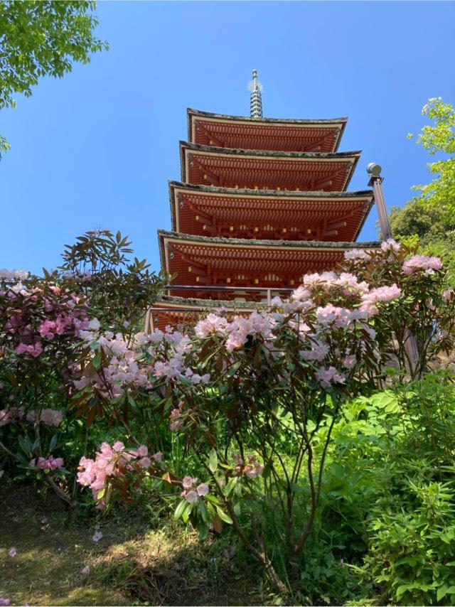 長谷寺 五重塔の参拝記録7