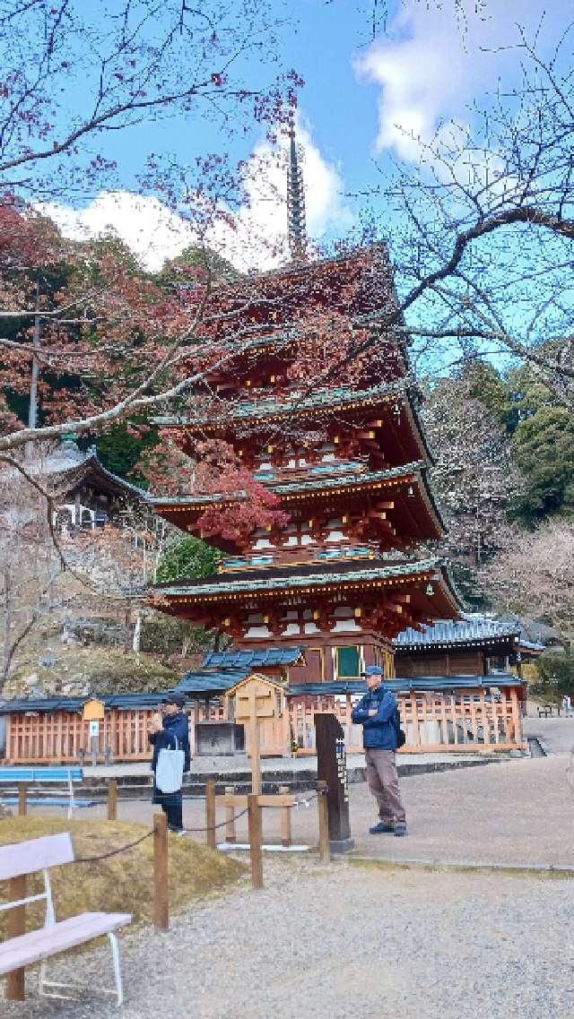 長谷寺 五重塔の参拝記録9