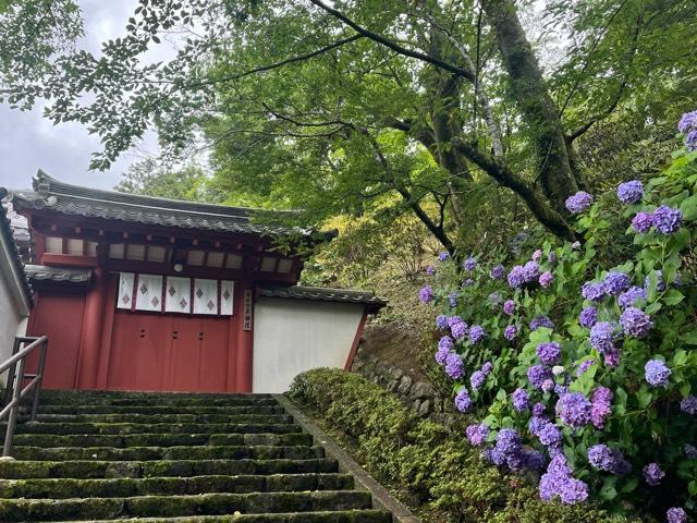 長谷寺 本願院の参拝記録6