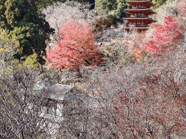 長谷寺 本願院の参拝記録3