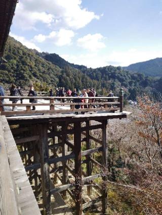 長谷寺 本坊(大講堂)の参拝記録(かっぱくんさん)