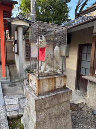 玉光稲荷社(八坂神社境内社)の参拝記録(⛩️🎠🐢まめ🐢🎠⛩️さん)