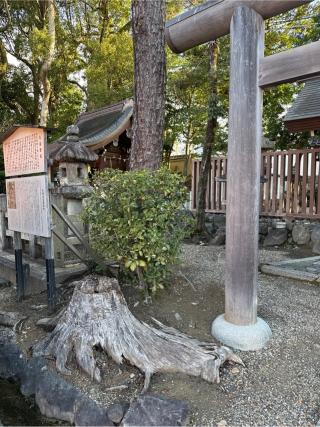 大神宮社(八坂神社)の参拝記録(⛩️🐍🐢まめ🐢🐍⛩️さん)