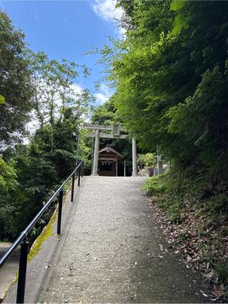 サムハラ神社 奥の宮の参拝記録(⛩️🎠🐢まめ🐢🎠⛩️さん)