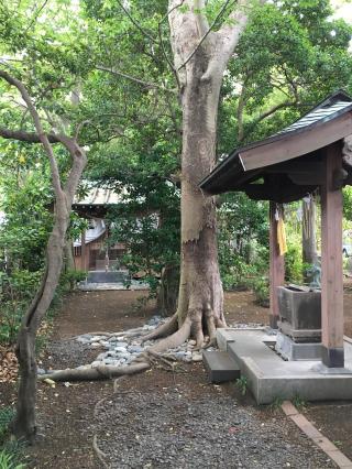 惣助稲荷の参拝記録(花散里さん)