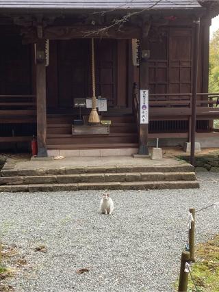 永興寺の参拝記録(ウメえもんさん)