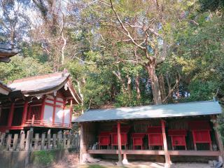 富田八幡神社の参拝記録( 14th moonさん)