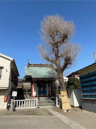 梅田稲荷神社の参拝記録(ねこチャリさん)