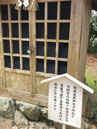 尾津神社の参拝記録(jeaekjpさん)